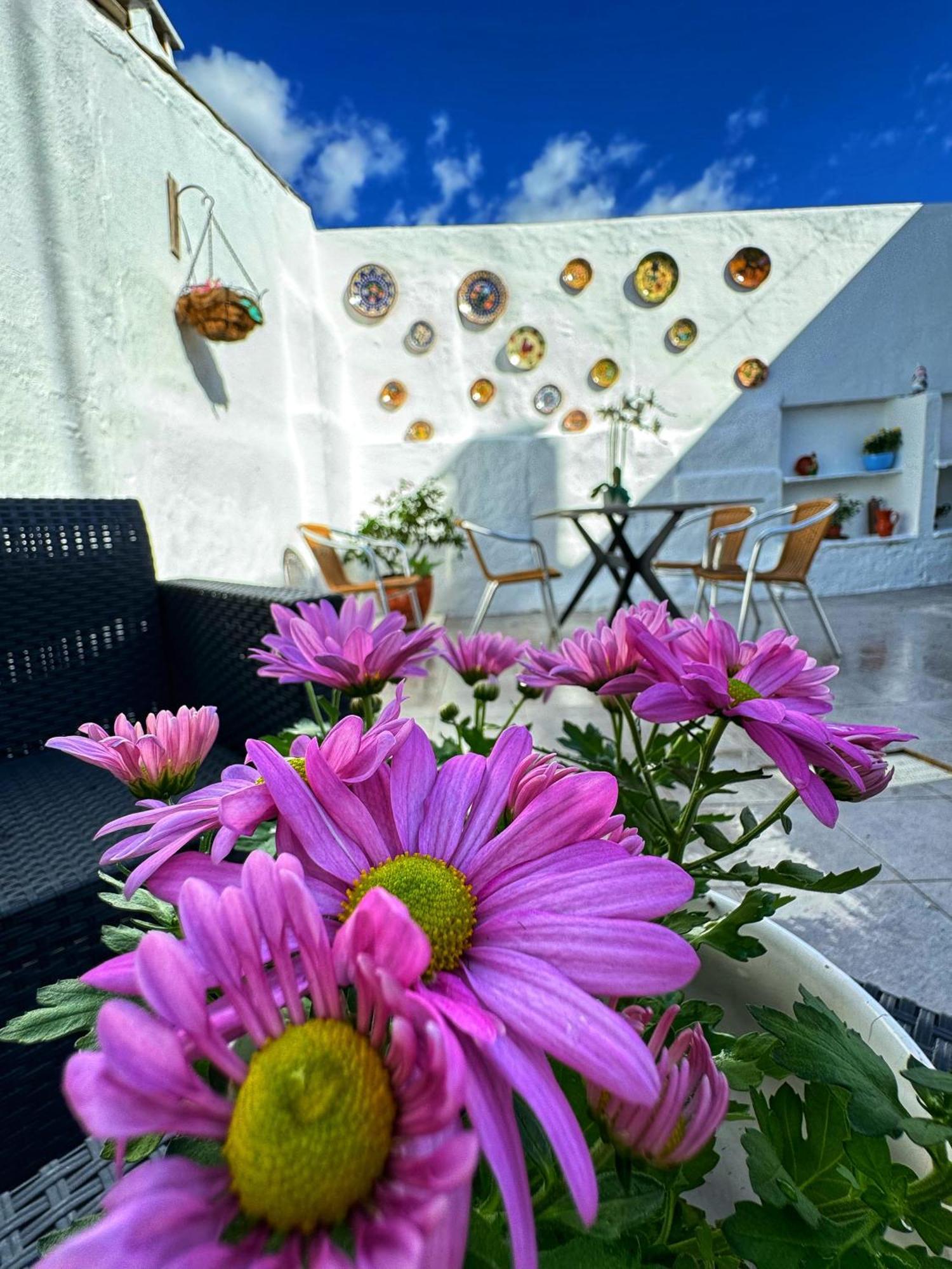 Casa Solua Βίλα Reguengos de Monsaraz Εξωτερικό φωτογραφία
